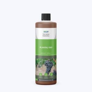 Plantali biologisch groot fruit appels peren