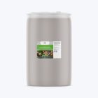 wortelontwikkeling boost wortel- en bolgewassen