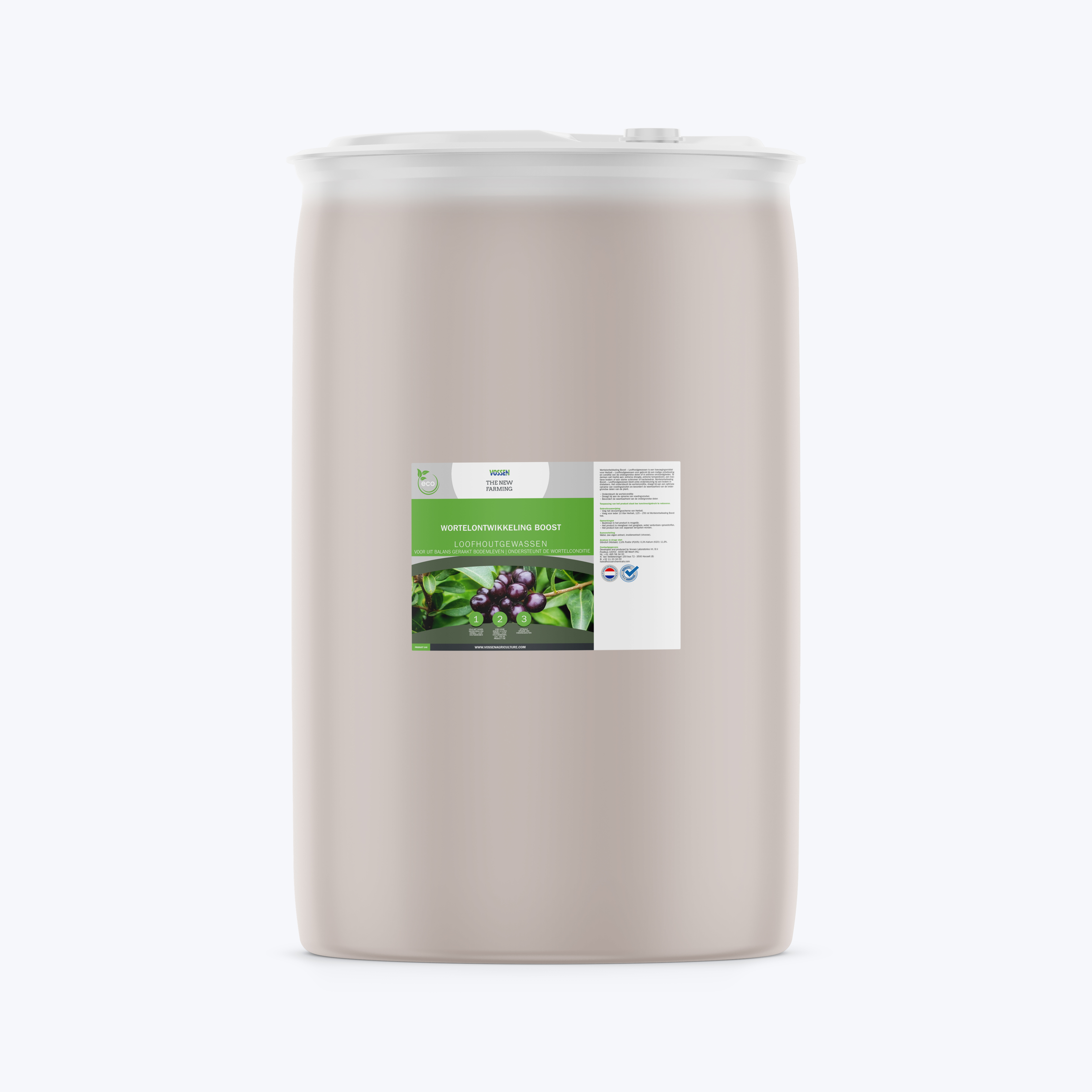 wortelontwikkeling loofhout