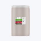 wortelontwikkeling-boost-vaste-planten