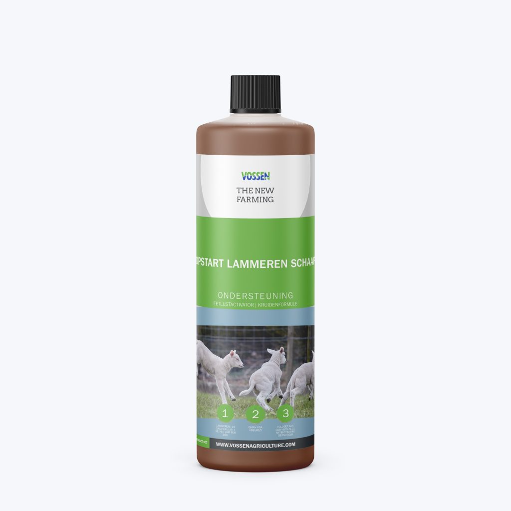 Opstart Lammeren Schaap – Ondersteuning
