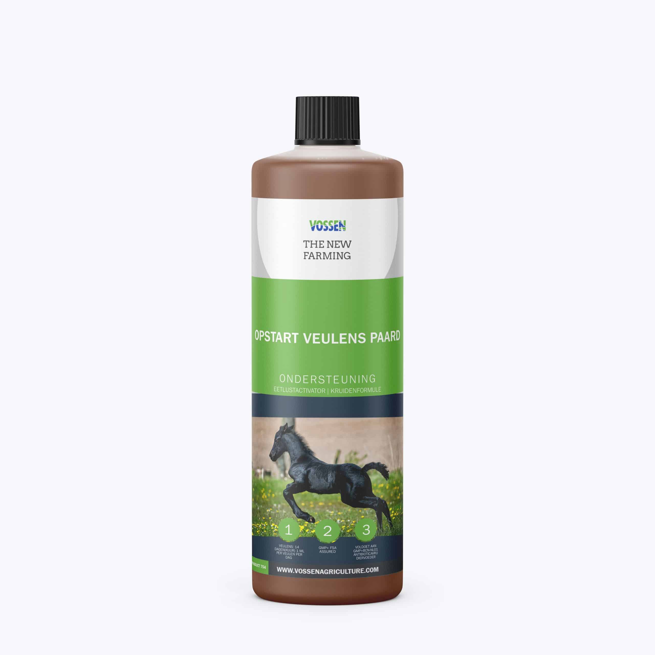 Opstart Veulens Paard – Ondersteuning