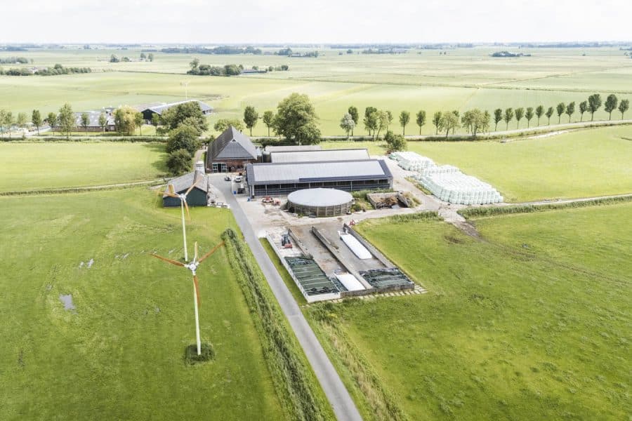 Intensieve veehouderij